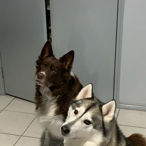 Meet your Posher, Maria